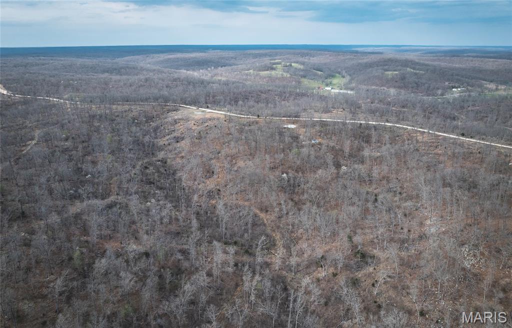 0 Golden Acres Road Lincoln, MO 65338 - Photo 3 of 11