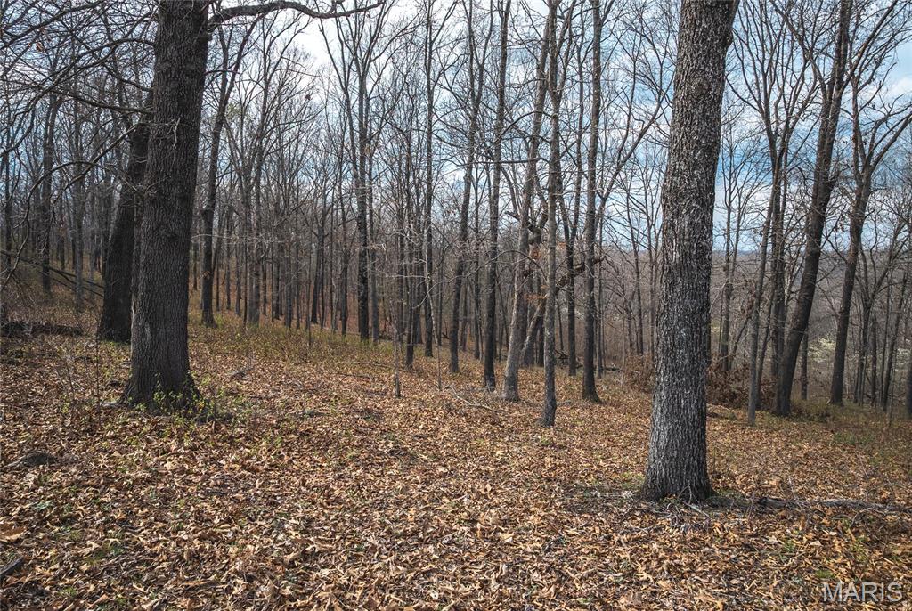 0 Golden Acres Road Lincoln, MO 65338 - Photo 8 of 11