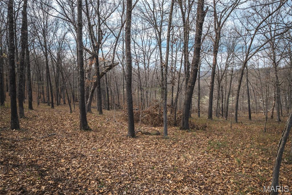 0 Golden Acres Road Lincoln, MO 65338 - Photo 9 of 11