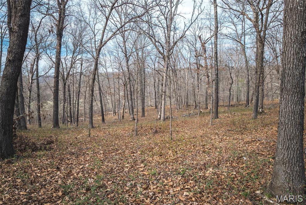 0 Golden Acres Road Lincoln, MO 65338 - Photo 10 of 11