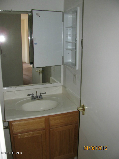 11201 West Almeria Road Avondale, AZ 85392 - Photo 16 of 40 IMG_2109