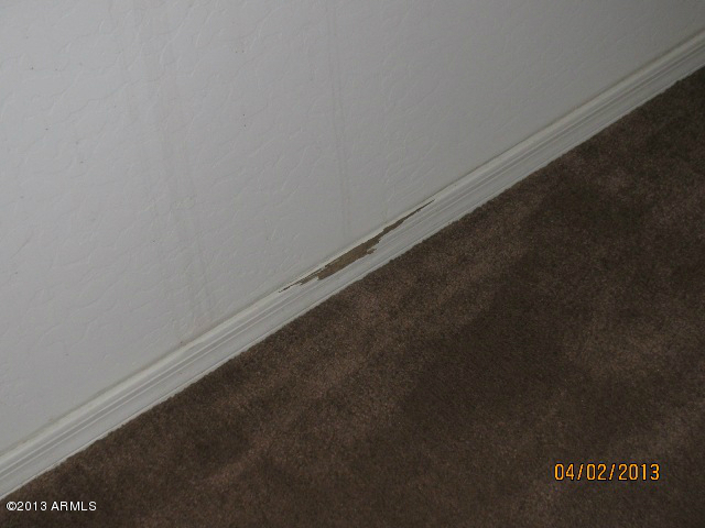 11201 West Almeria Road Avondale, AZ 85392 - Photo 23 of 40 IMG_2116
