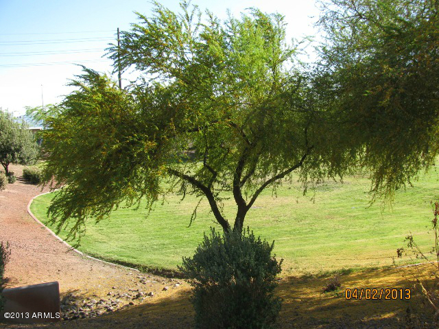 11201 West Almeria Road Avondale, AZ 85392 - Photo 34 of 40 IMG_2129