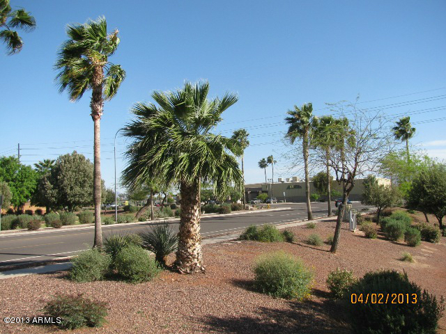 11201 West Almeria Road Avondale, AZ 85392 - Photo 35 of 40 IMG_2130