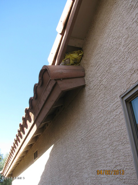 11201 West Almeria Road Avondale, AZ 85392 - Photo 37 of 40 IMG_2133