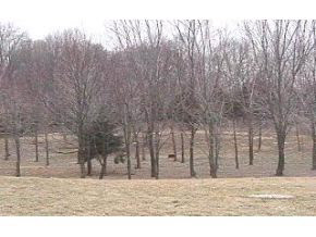7802 West Eller Road Bloomington, IN 47403 - Photo 4 of 16