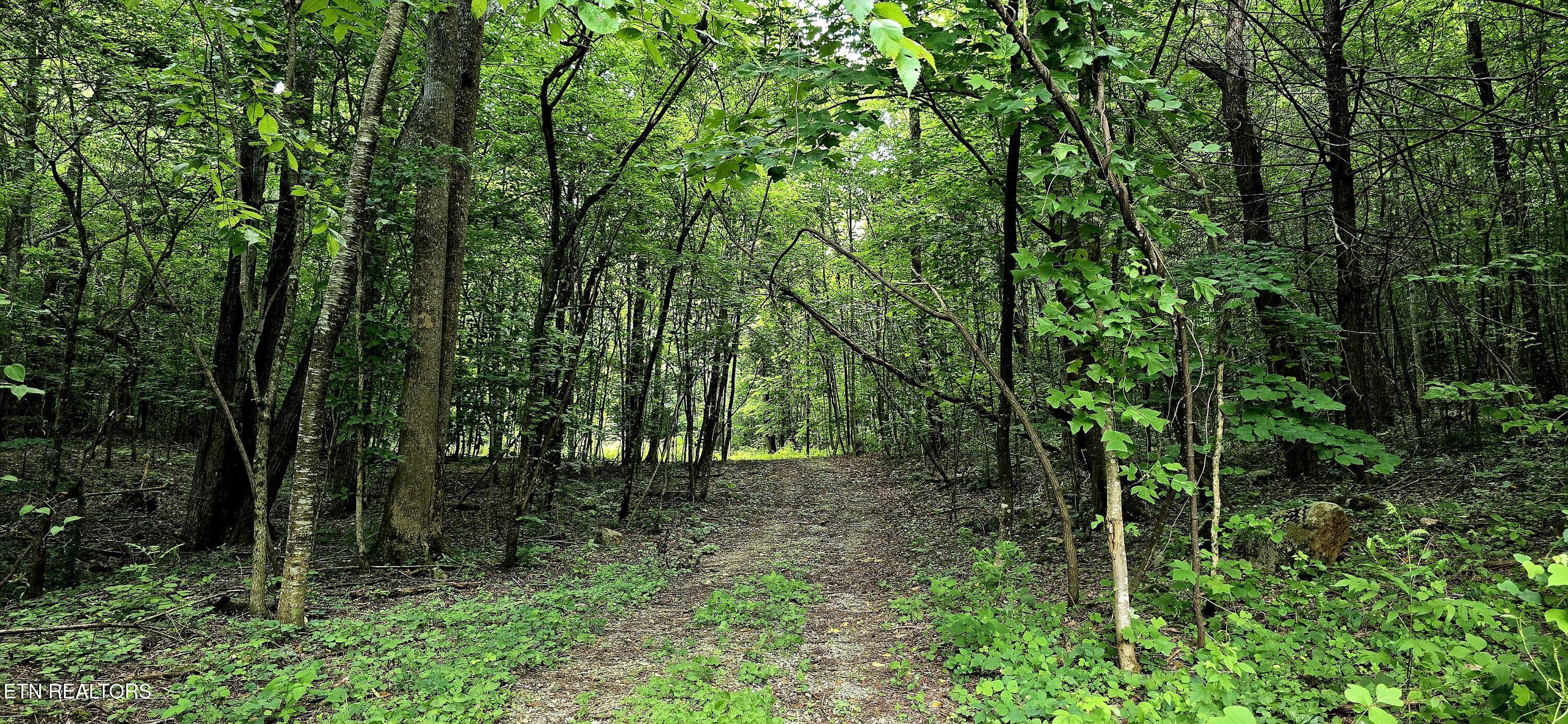 1580 Restful Way Newport, TN 37821 - Photo 2 of 7 20250620_115102