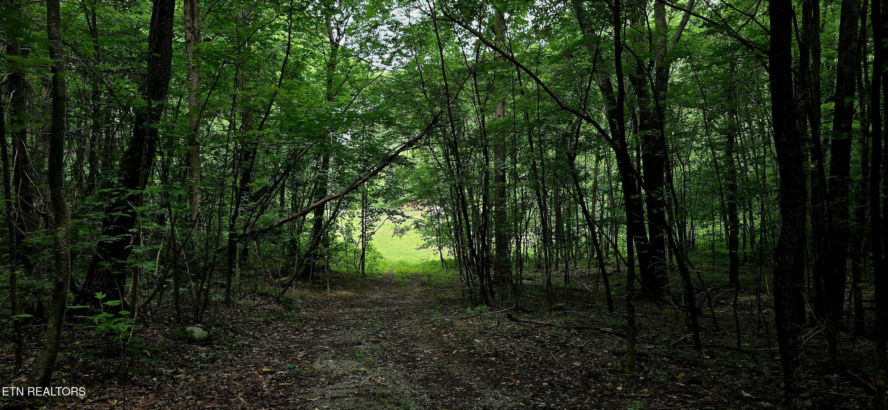 1580 Restful Way Newport, TN 37821 - Photo 3 of 7 20250620_115148