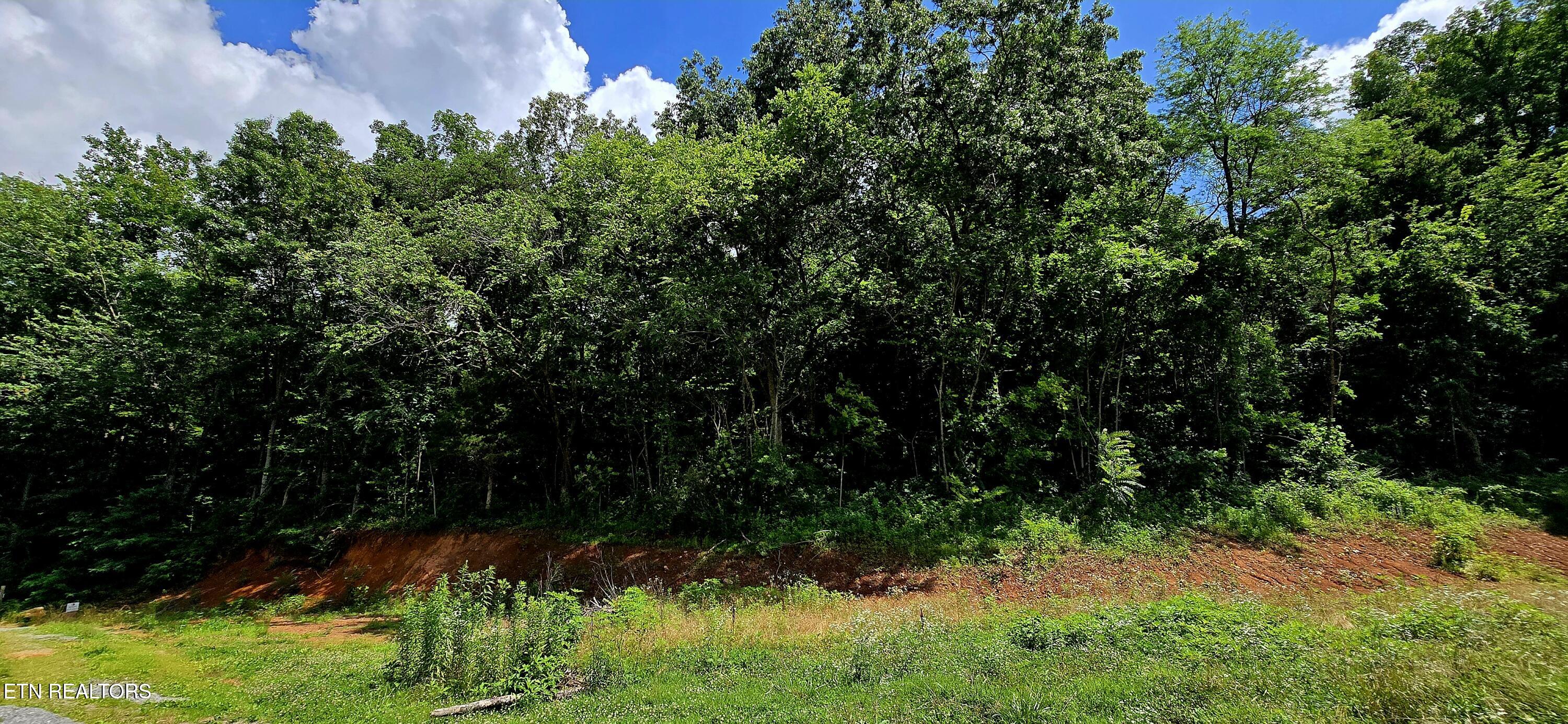 1580 Restful Way Newport, TN 37821 - Photo 7 of 7 20250620_120013