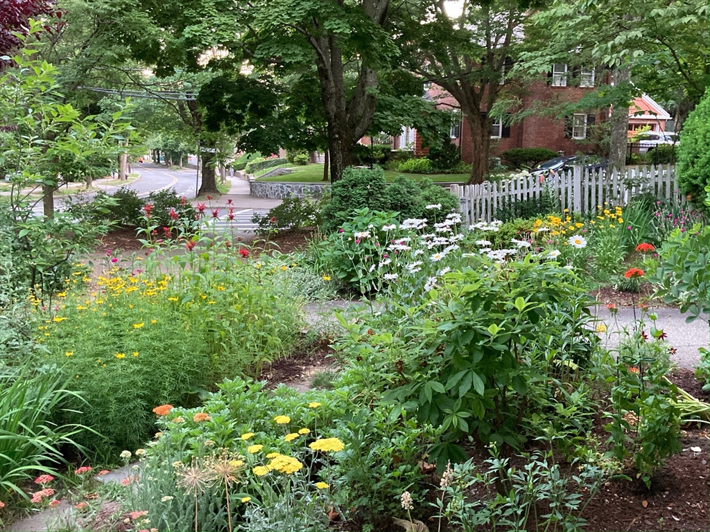 58 Corey Road Brookline, MA 02445 - Photo 8 of 8 a view of a house with a big yard and large trees