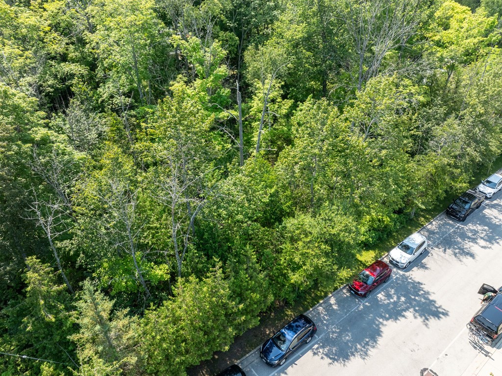 Lot 5 Mill Road Sister Bay, WI 54234 - Photo 3 of 20 Gallery Image 3