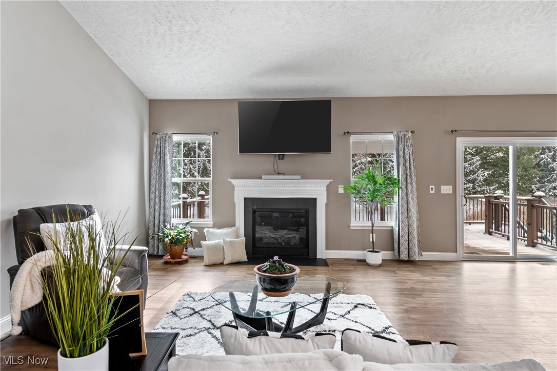 191 Ry Road Wadsworth, OH 44281 - Photo 5 of 34 Living room with a fireplace with flush hearth, a textured ceiling, and wood finished floors