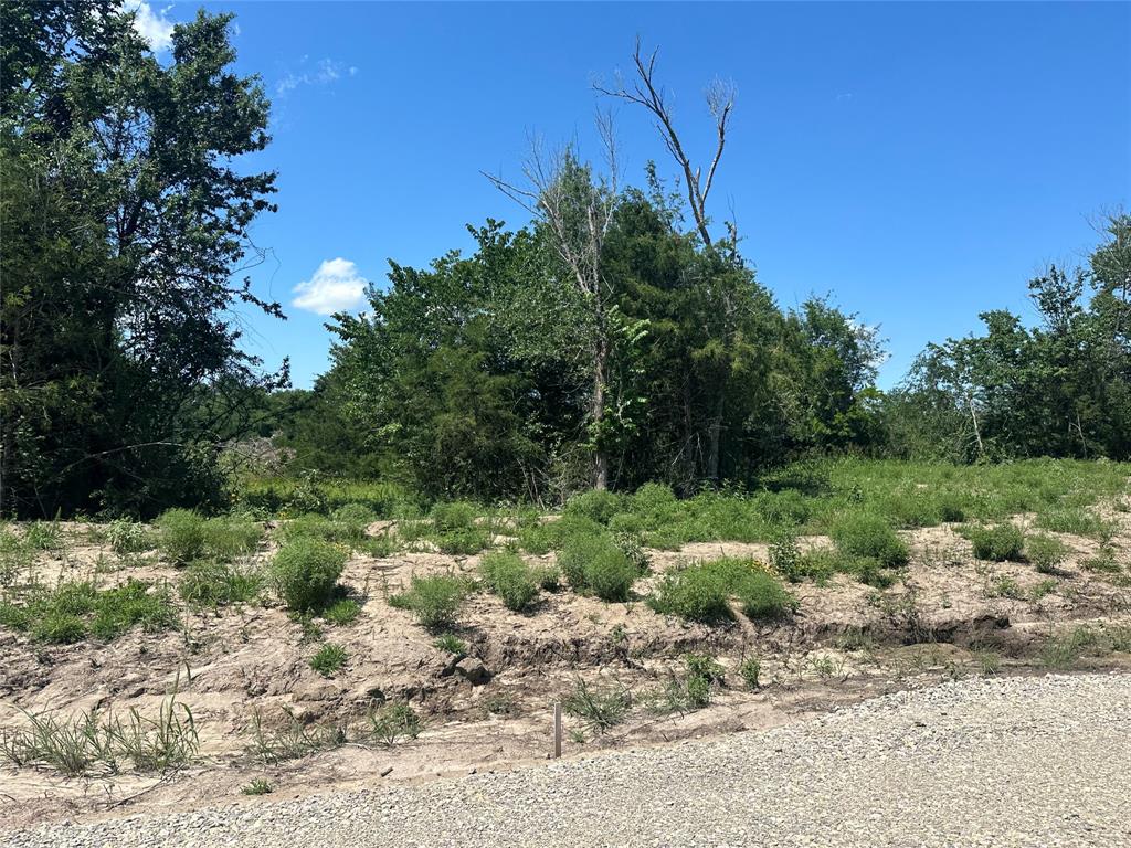 Lot 15 Co Road Farmersville, TX 75442 - Photo 1 of 7 Additional content