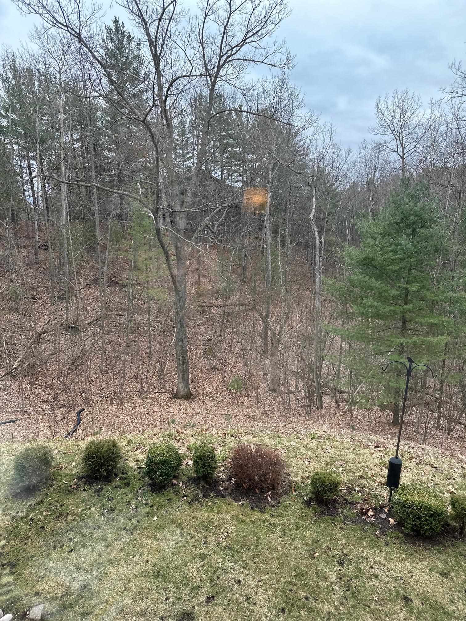 6590 Mission Ridge Traverse City, MI 49686 - Photo 9 of 13