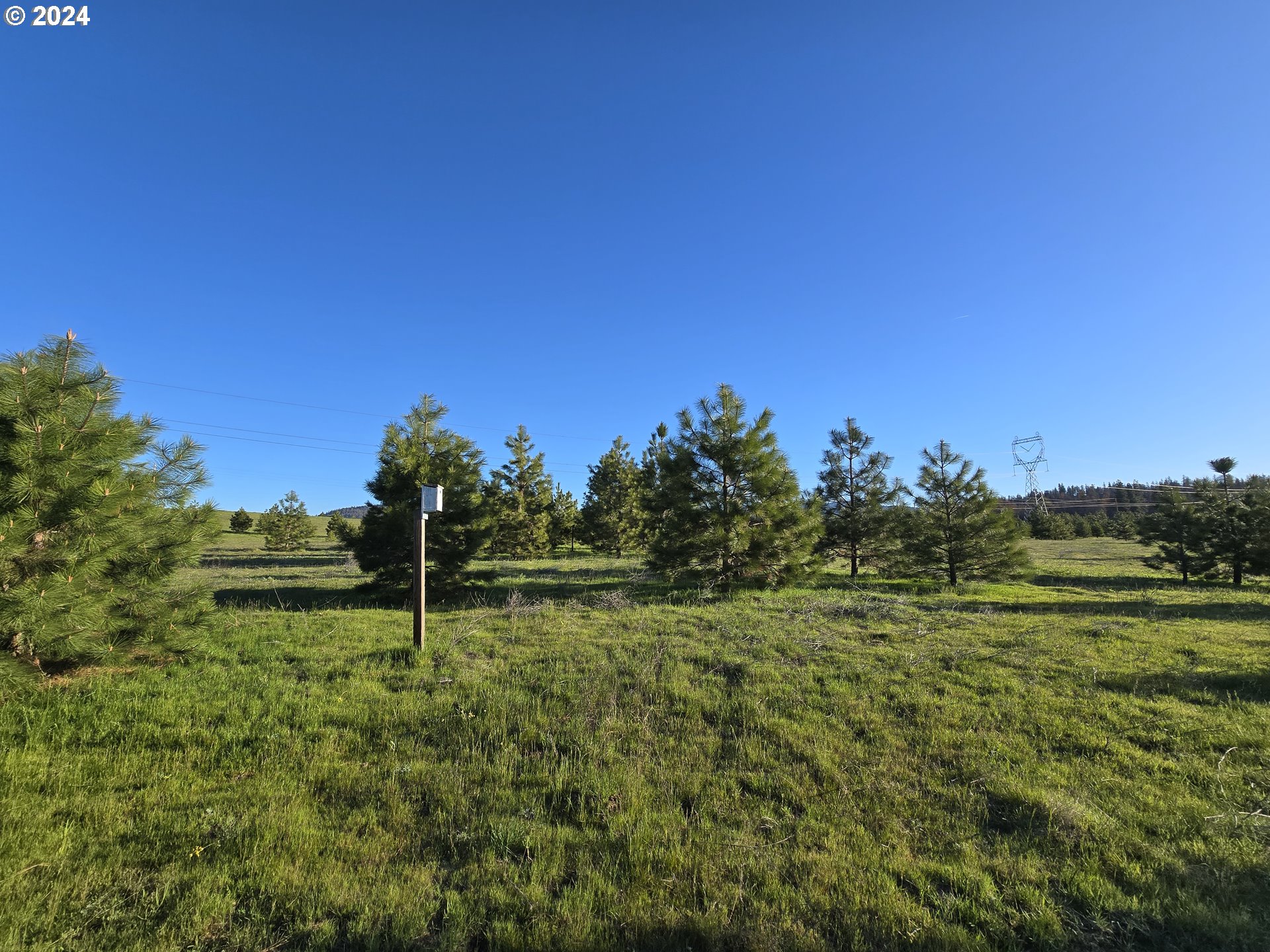 11 Wildhorse Ranch Road Goldendale, WA 98620 - Photo 13 of 17 a backyard of a house