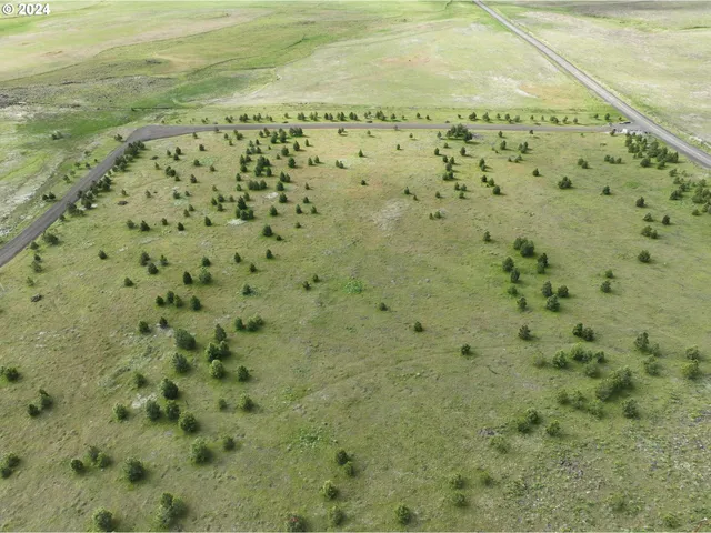 a view of a pathway both side of yard with small space
