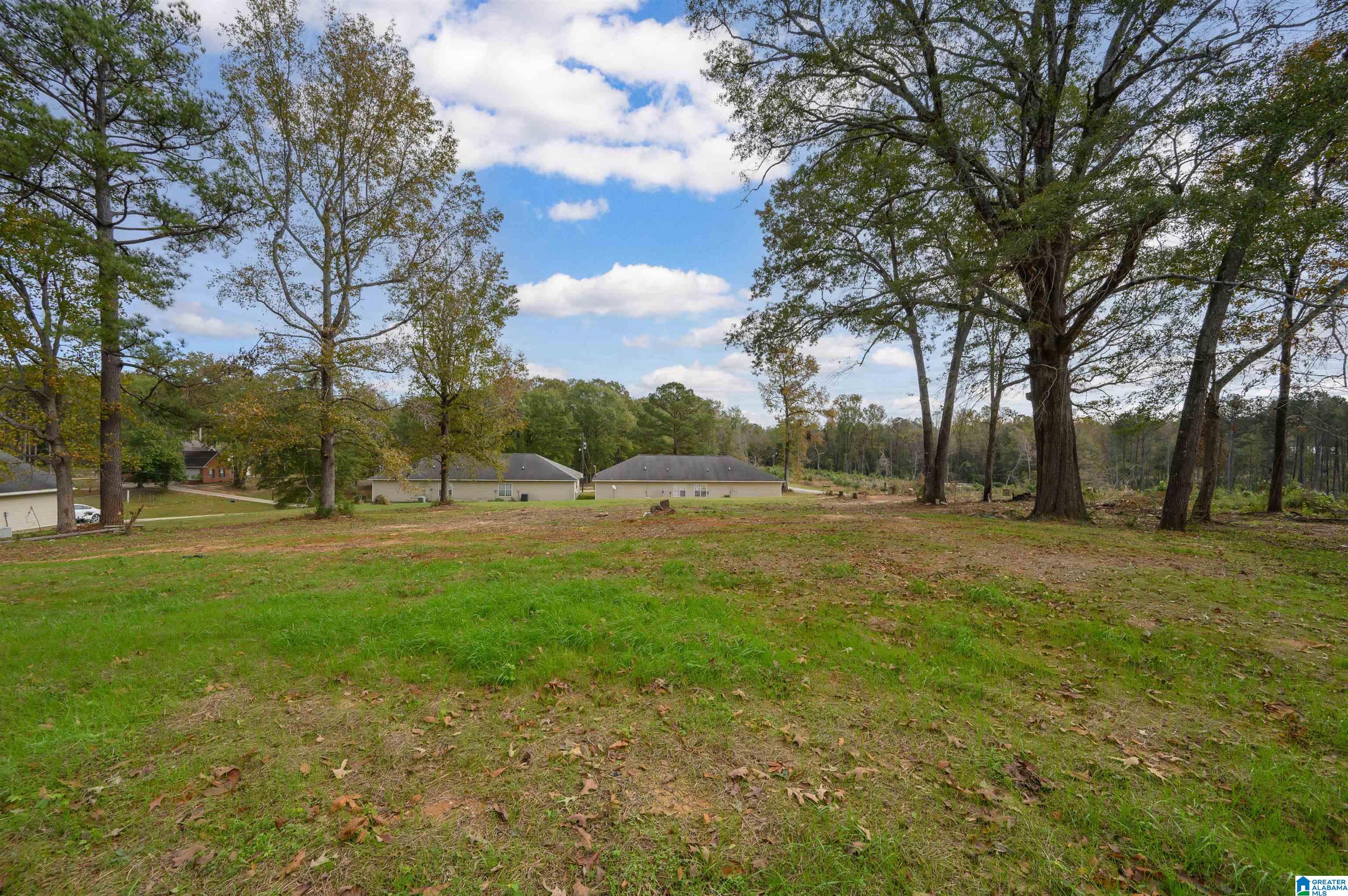 233 Statesville Road West Blocton, AL 35184 - Photo 5 of 55