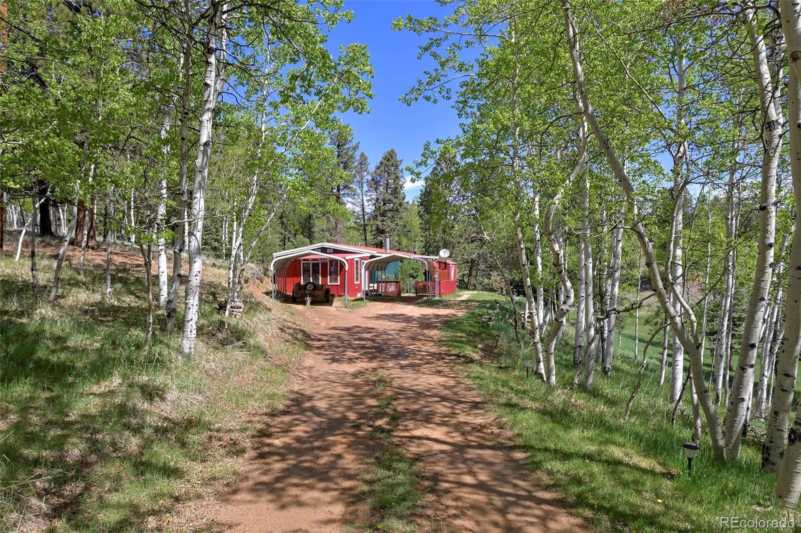 63 Star View Trail Divide, CO 80814 - Photo 31 of 46