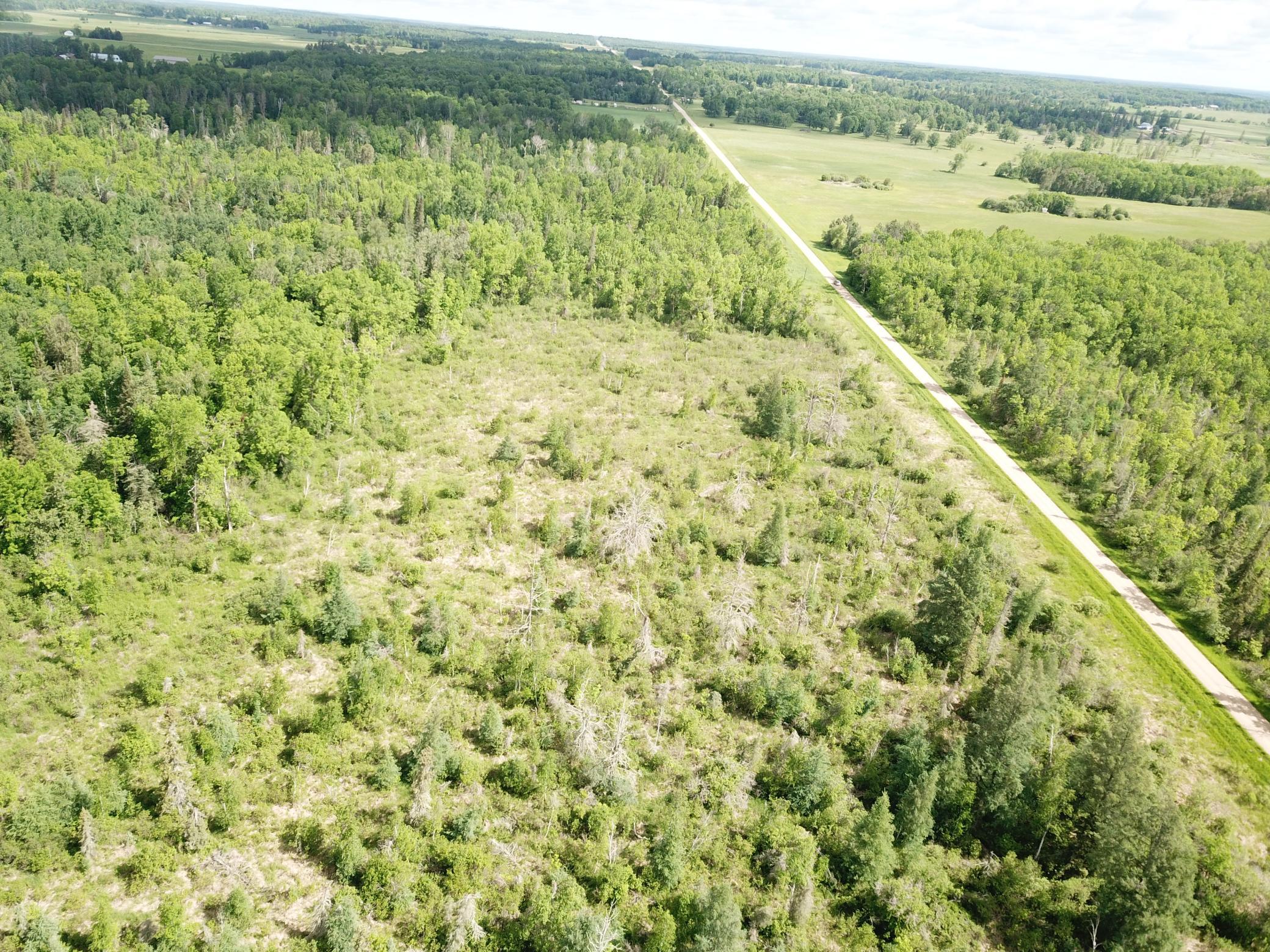 Tbd1 Mud Lake Road Bagley, MN 56621 - Photo 12 of 31
