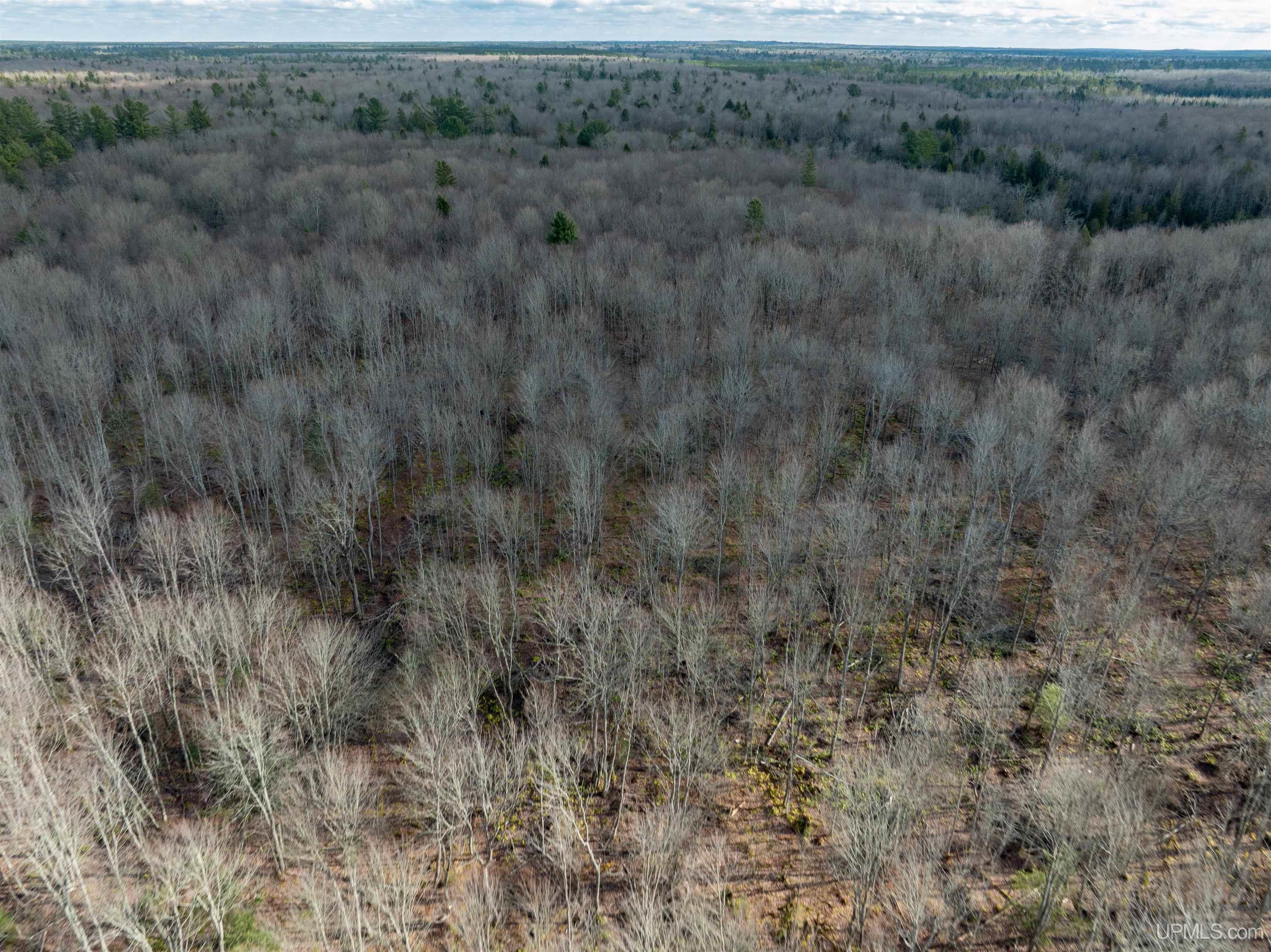 Tbd Raspberry Lane Munising, MI 49862 - Photo 20 of 20 Gallery Image 20