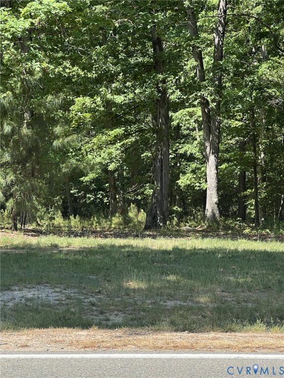8620 North Spring Run Road Chesterfield, VA 23832 - Photo 3 of 4 a view of a golf course