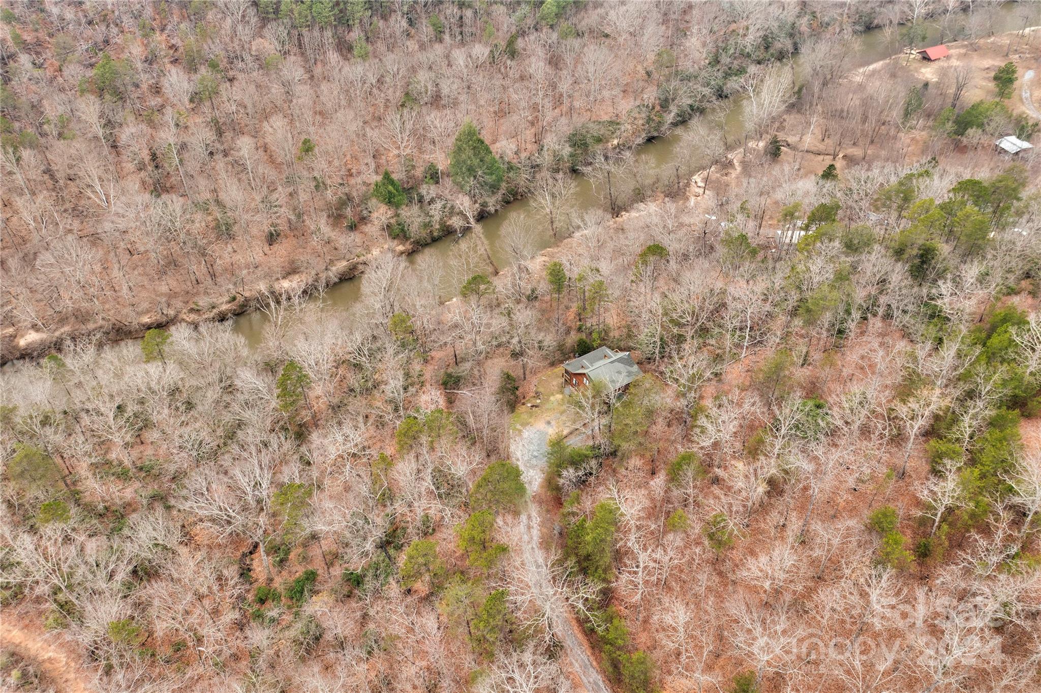 273 Sasafras Ridge Rutherfordton, NC 28139 - Photo 4 of 41 a close up of a tree
