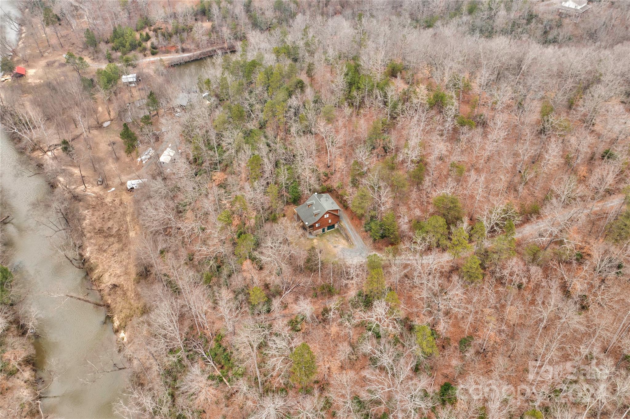273 Sasafras Ridge Rutherfordton, NC 28139 - Photo 5 of 41 a close up of a tree