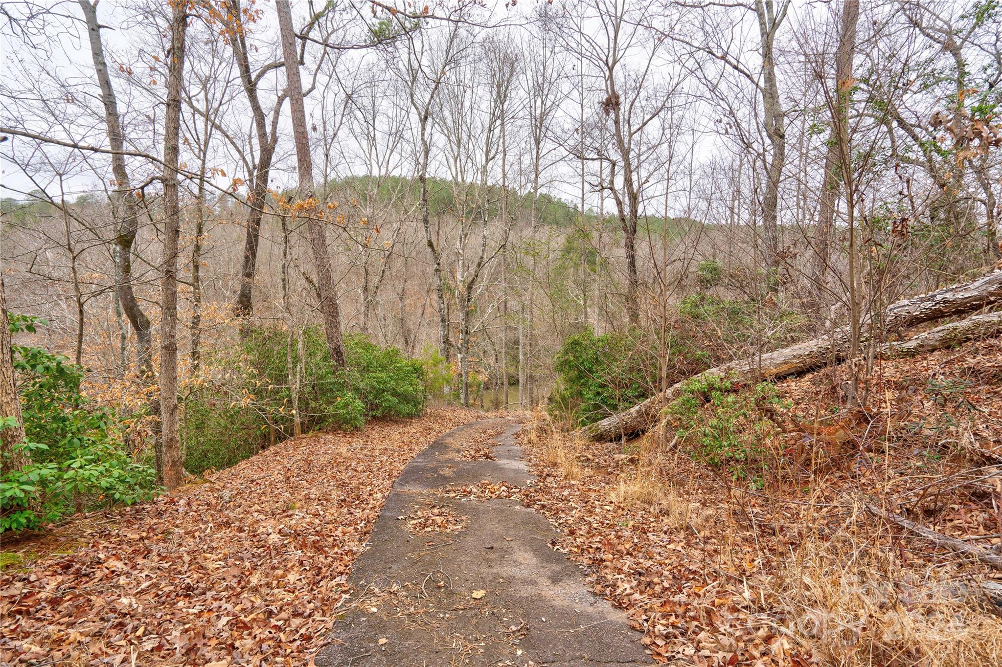 273 Sasafras Ridge Rutherfordton, NC 28139 - Photo 9 of 41 a view of a yard with a tree