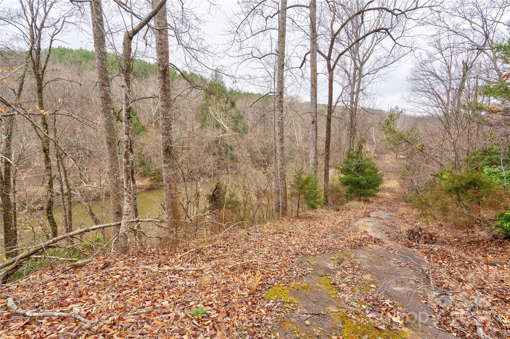 273 Sasafras Ridge Rutherfordton, NC 28139 - Photo 10 of 41 a view of a yard with trees