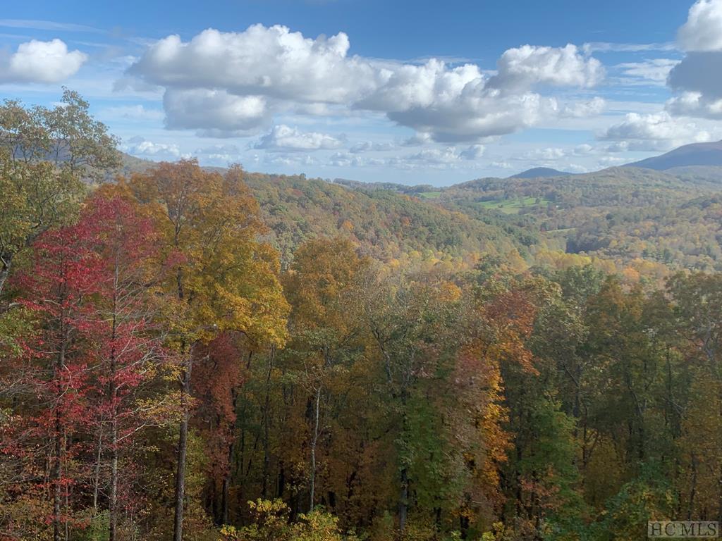 230 Raven Ridge Road Scaly Mountain, NC 28775 - Photo 40 of 42 Gallery Image 40