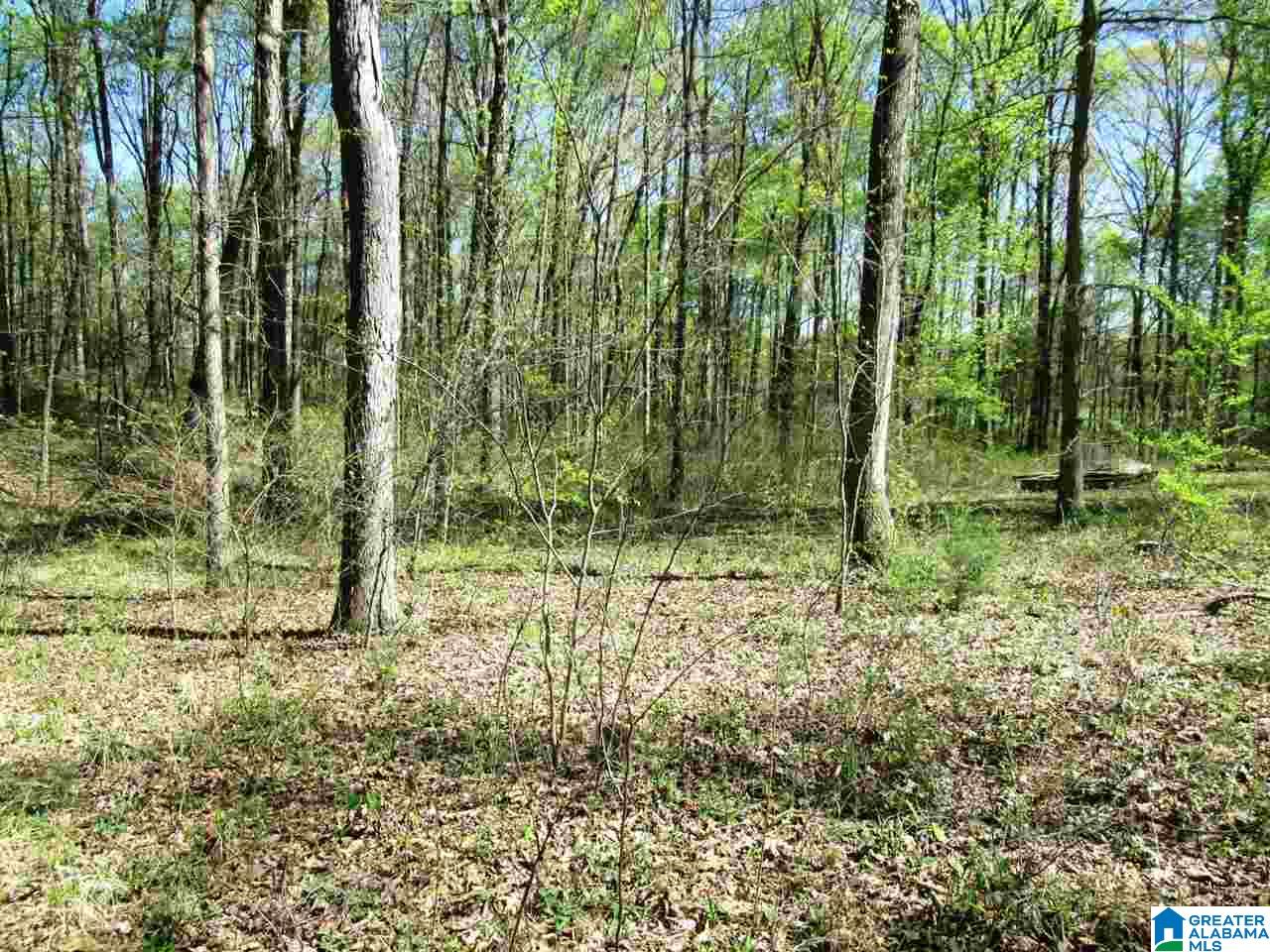 5550 Crawford Cove Road Steele, AL 35987 - Photo 7 of 36