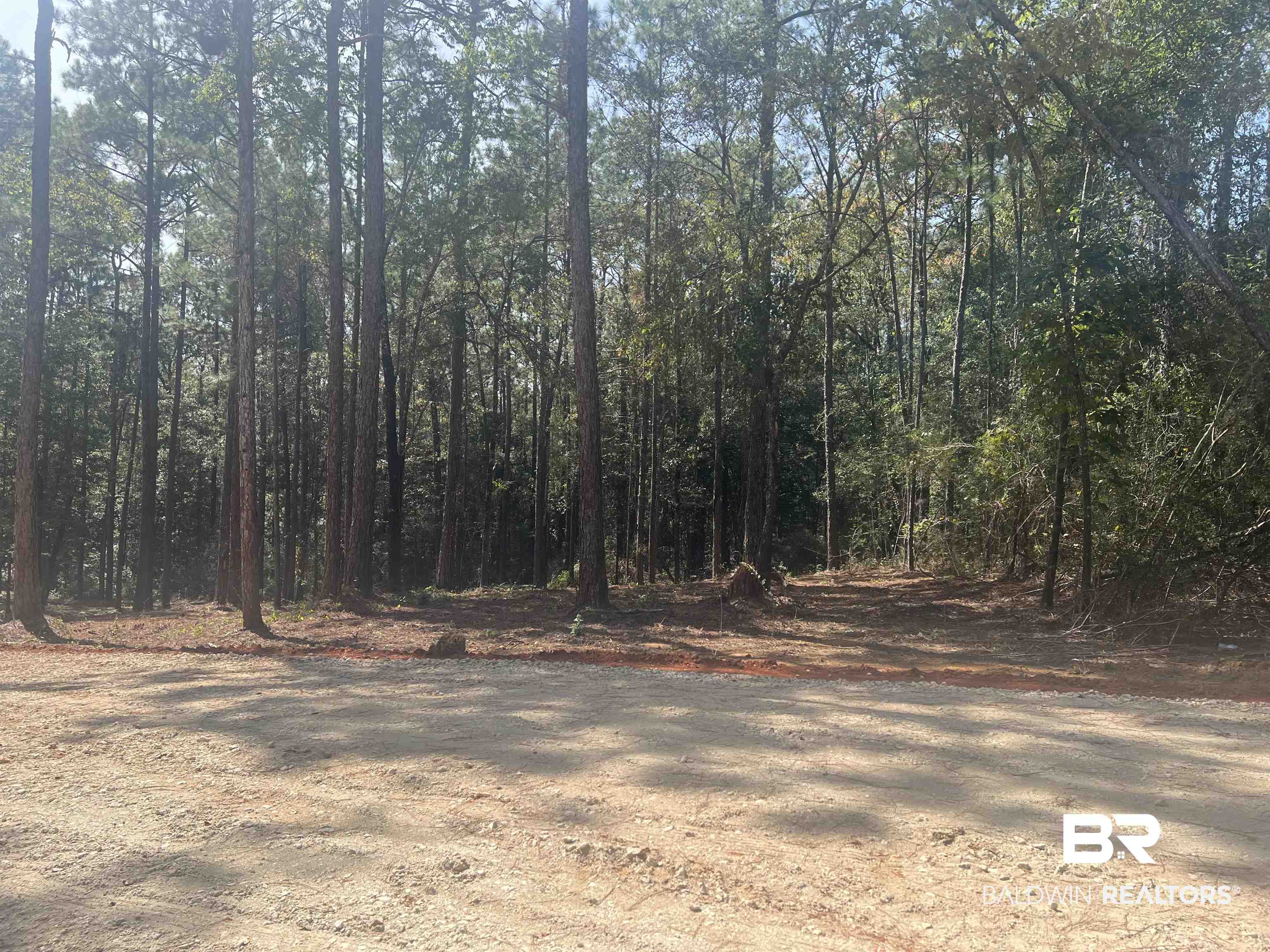 0 Highway 59 Stapleton, AL 36578 - Photo 2 of 5