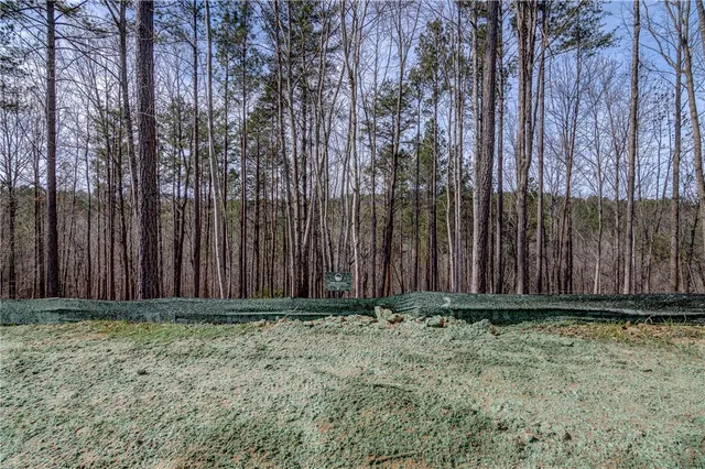 $100,000 | Lot 3 Grays Peak Drive, Salem, SC 29676