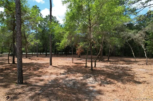$149,995 | 6925 West Copenhagen Street, Dunnellon, FL 34433