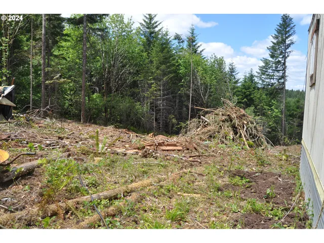 a backyard of a house with a large tree