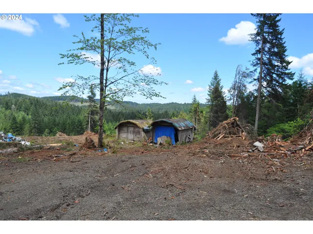a view of outdoor space and yard