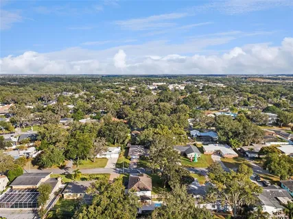 an aerial view of a house with a yard potted plants and large tree