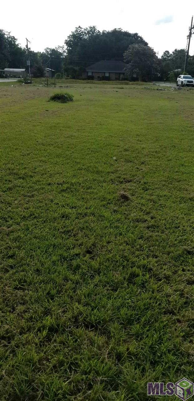 10517 Savoy Road St. Amant, LA 70774 - Photo 4 of 4