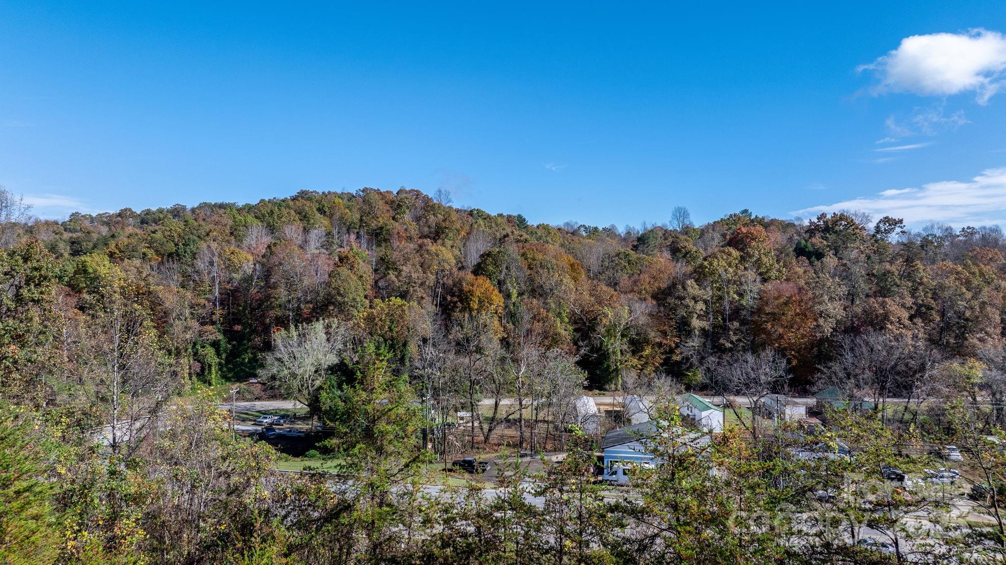 1965 North Main Street Marion, NC 28752 - Photo 22 of 23 a view of a bunch of trees in a field