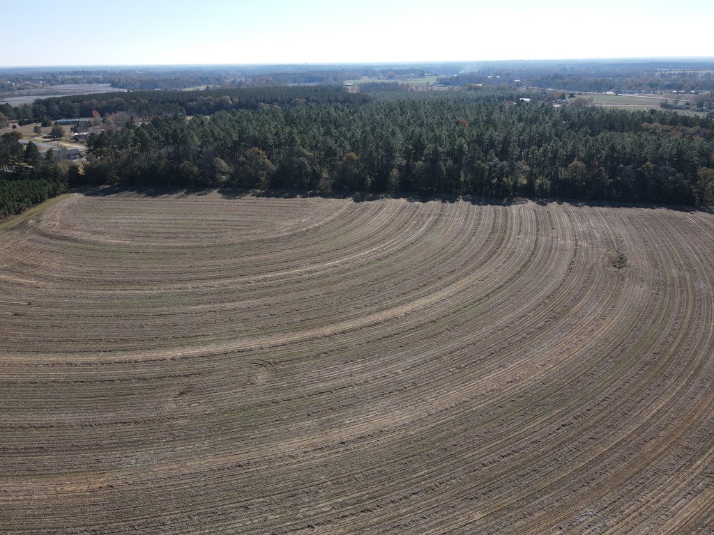 0 Coot Fowler Road Dothan, AL 36301 - Photo 3 of 6