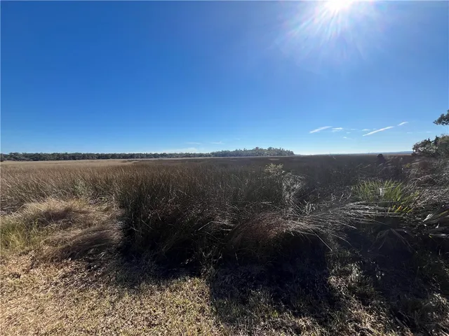 $75,000 | Lot 36 Coopers Point Drive Northeast, Townsend, GA 31331