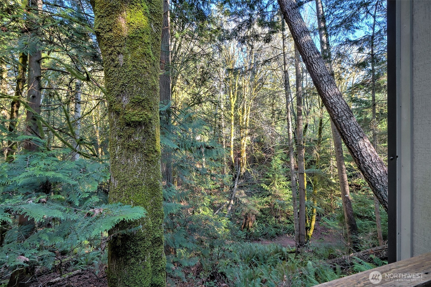 731 East Promontory Road Shelton, WA 98584 - Photo 8 of 37