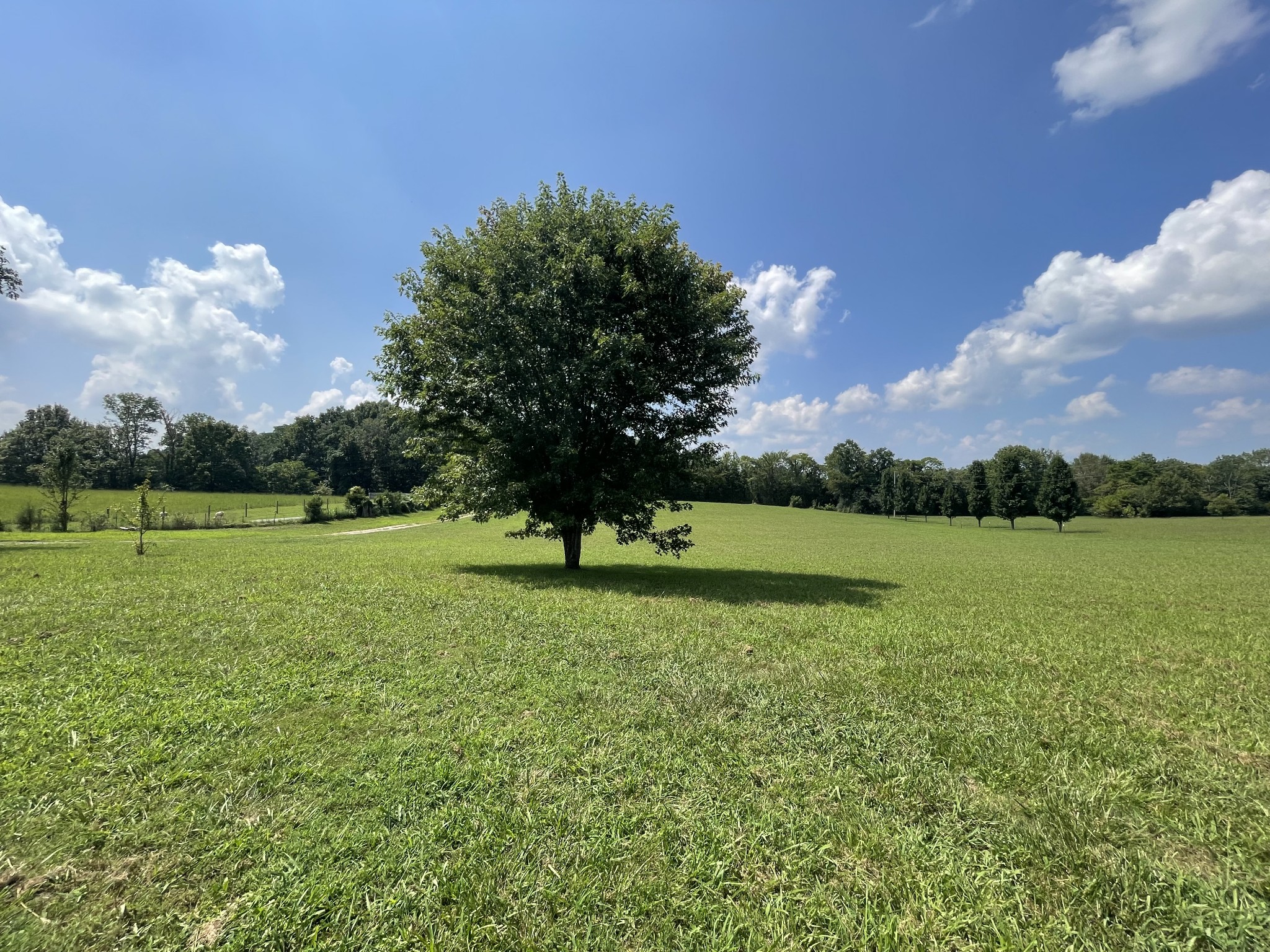 3556 Goshen Road Santa Fe, TN 38482 - Photo 17 of 22 a view of a golf course with a lake
