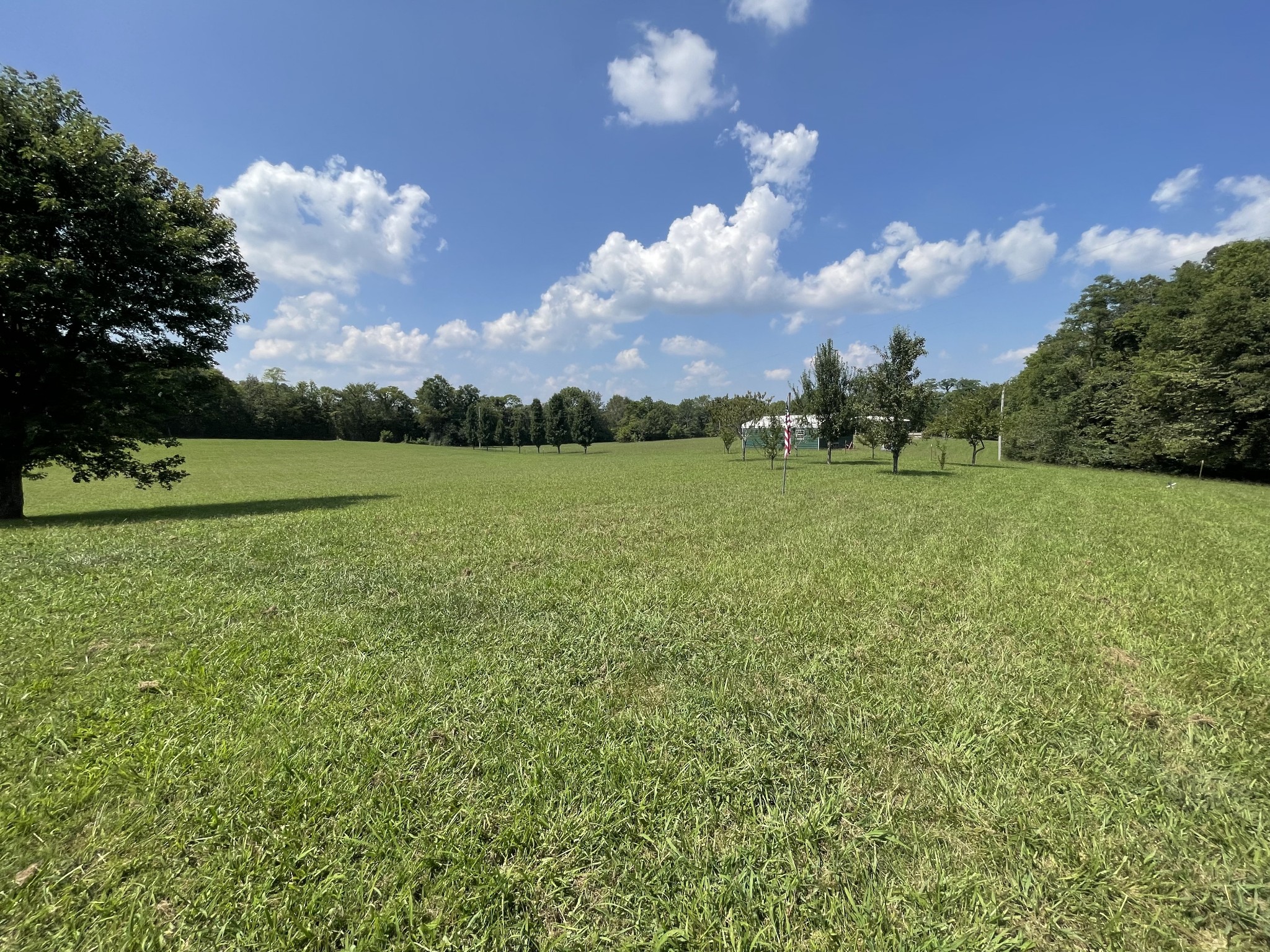 3556 Goshen Road Santa Fe, TN 38482 - Photo 18 of 22 a view of a golf course with a lake