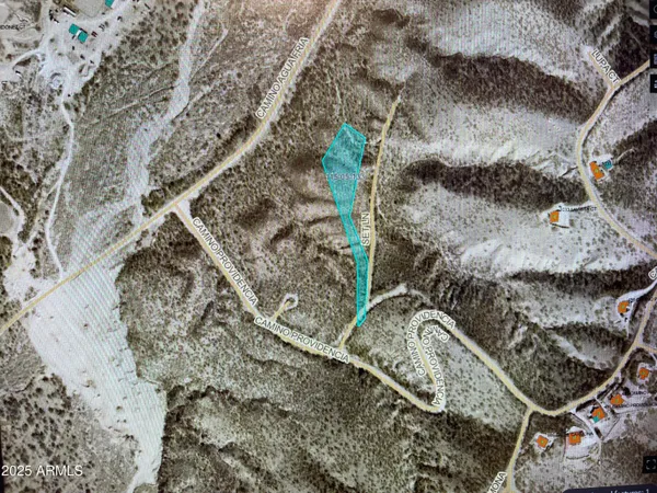 a picture of a plant in a backyard