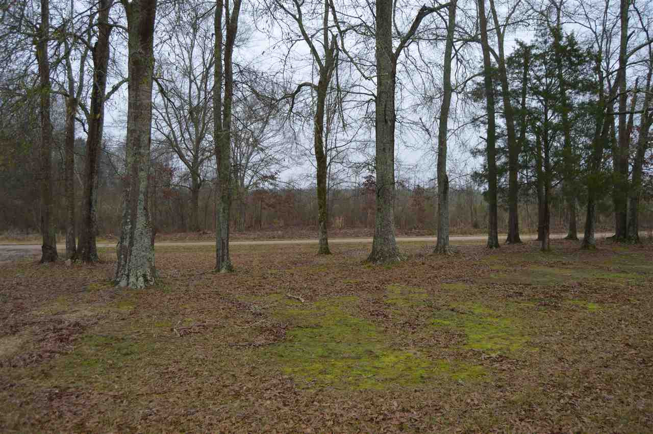 468 Thomasville Road Florence, MS 39073 - Photo 14 of 15 Photo 14