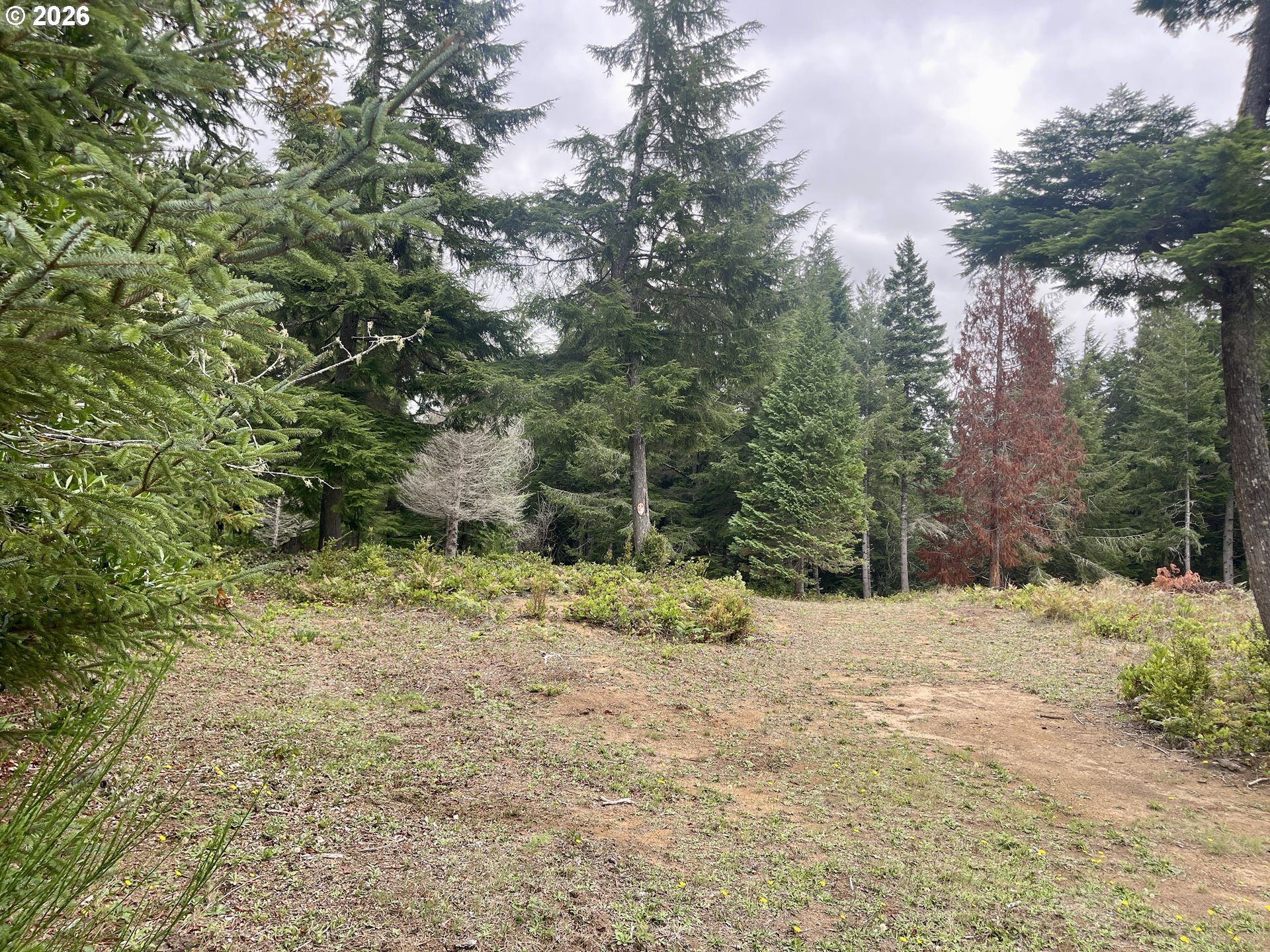 Sandpoint Road North Bend, OR 97459 - Photo 19 of 29 Gallery Image 19
