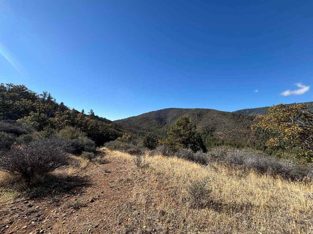 0 Guys Gulch Road Mount Shasta, CA 96067 - Photo 9 of 11 Gallery Image 9