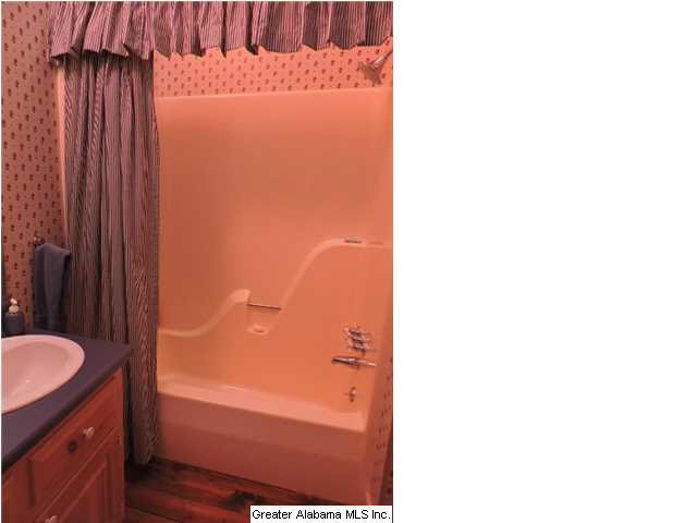 229 Hanson Road Wedowee, AL 36278 - Photo 16 of 27