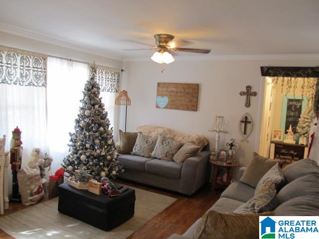75 Pine Street Oneonta, AL 35121 - Photo 14 of 38 Gallery Image 14